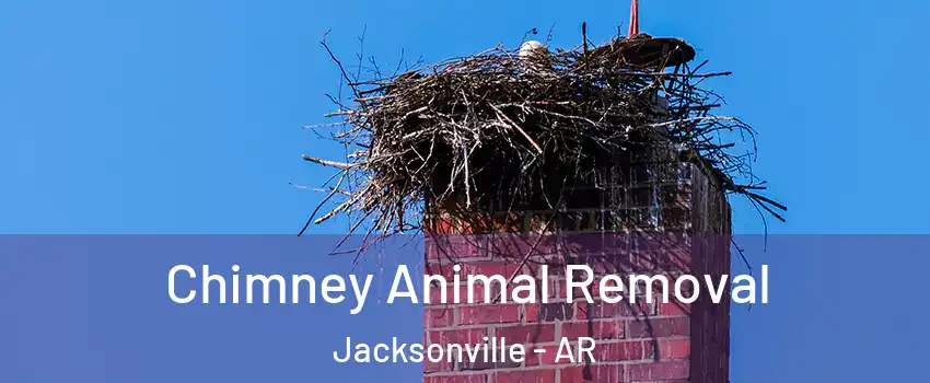  Chimney Animal Removal Jacksonville - AR