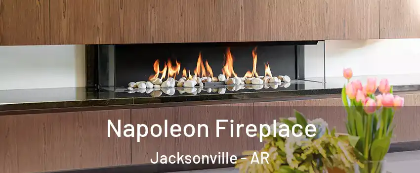  Napoleon Fireplace Jacksonville - AR